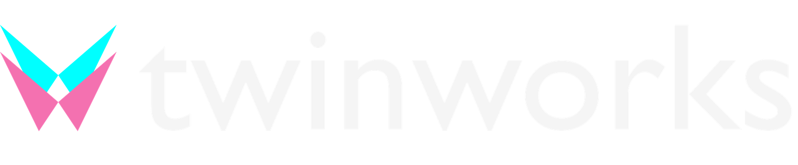 TwinWorks Logo