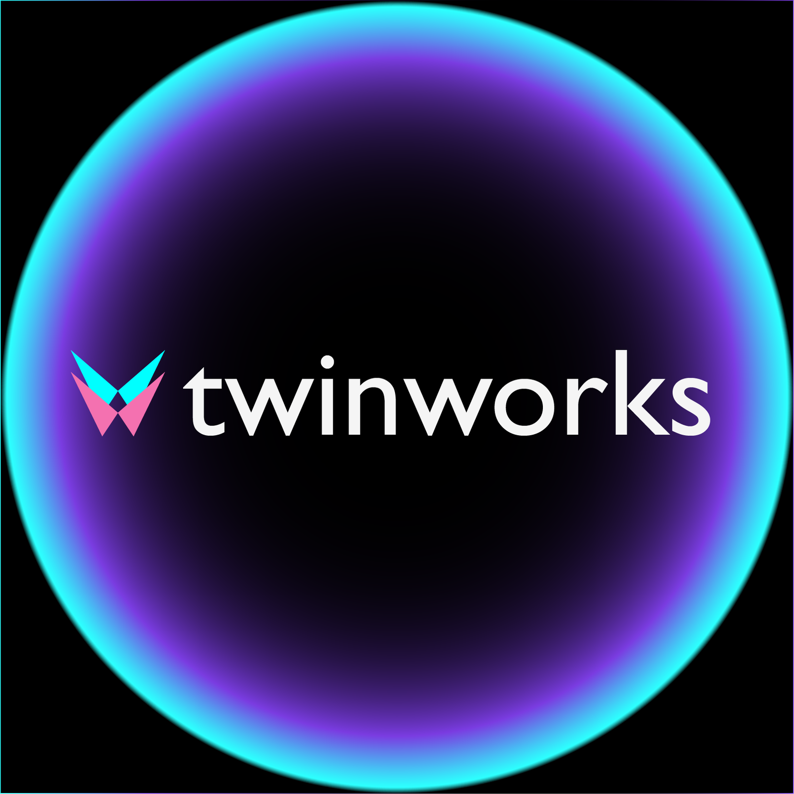 TwinWorks Icon - Digital Work Instructions